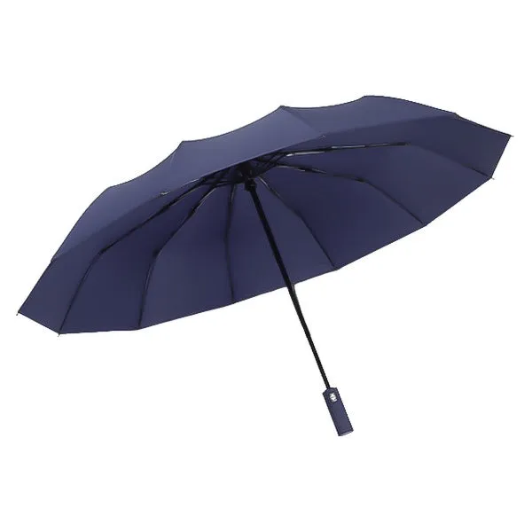 Blue Automatic Rain Umbrella