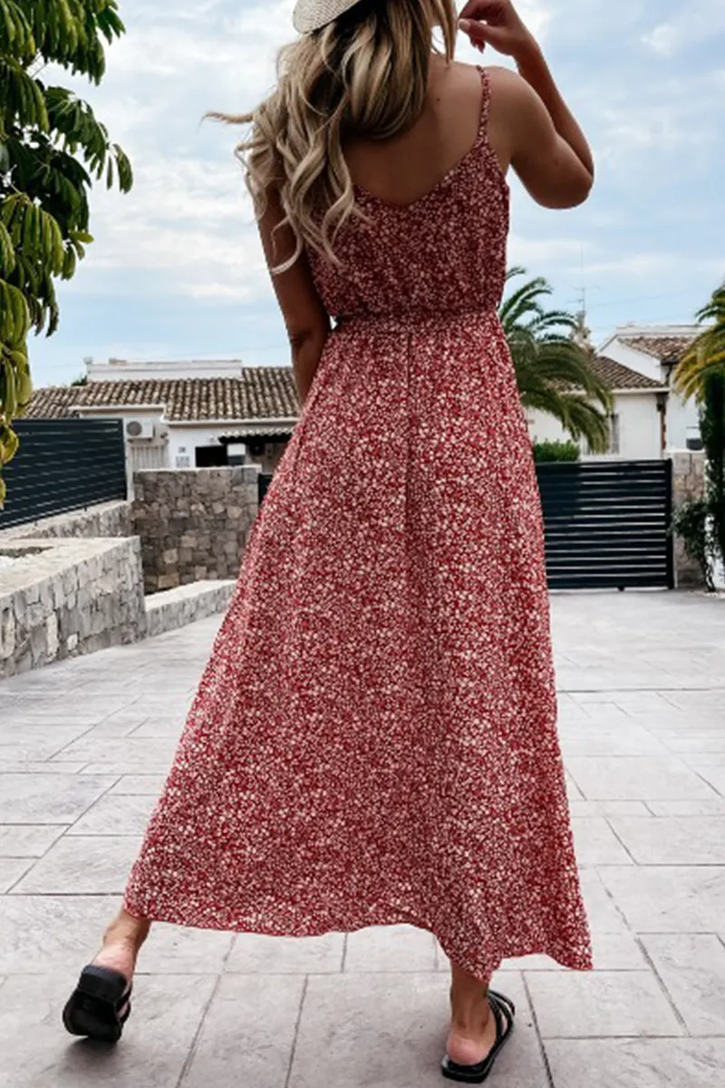 Dunnmall Elegant Print Frenulum V Neck A Line Maxi Dresses